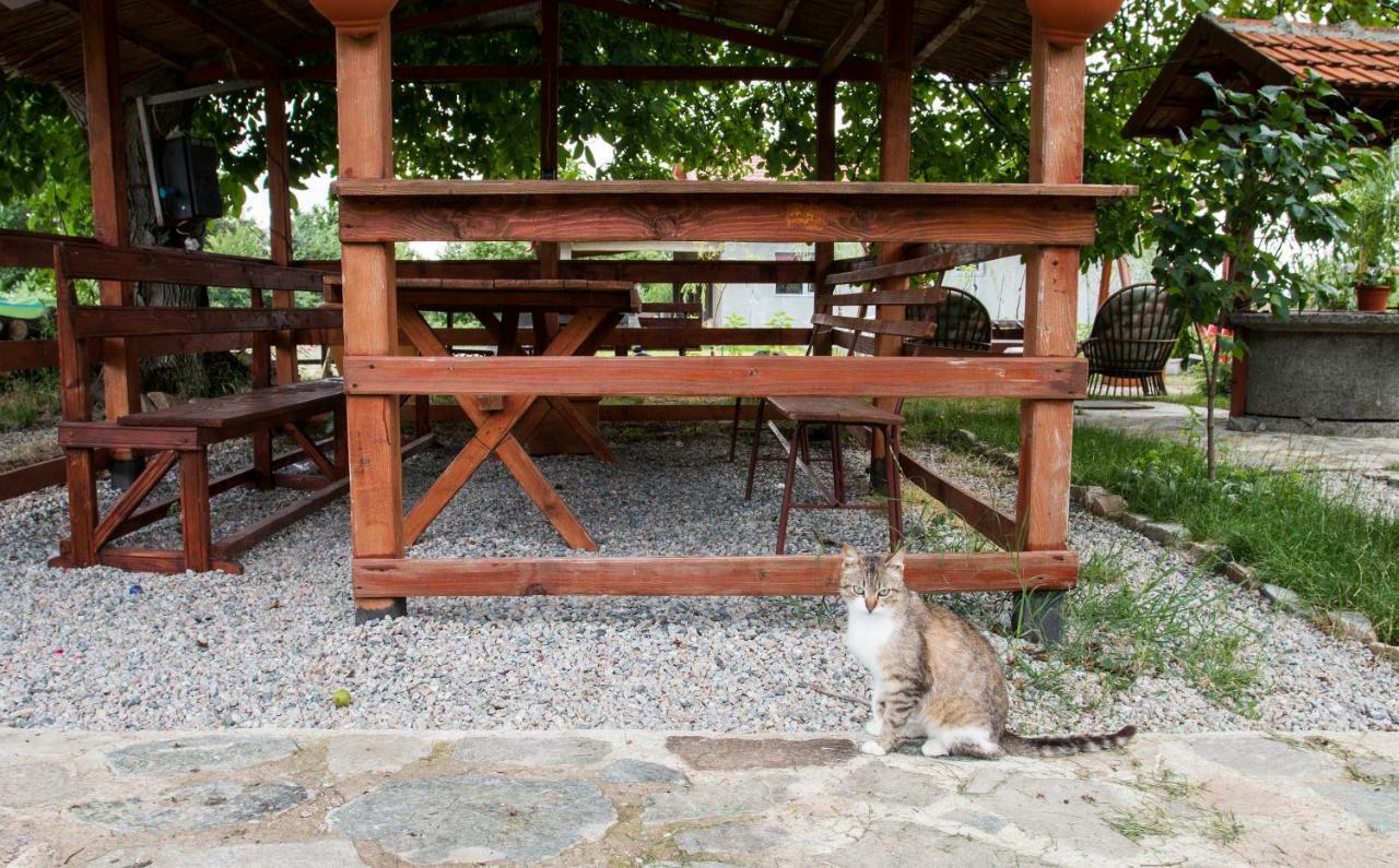 Greci La Livadaヴィラ エクステリア 写真
